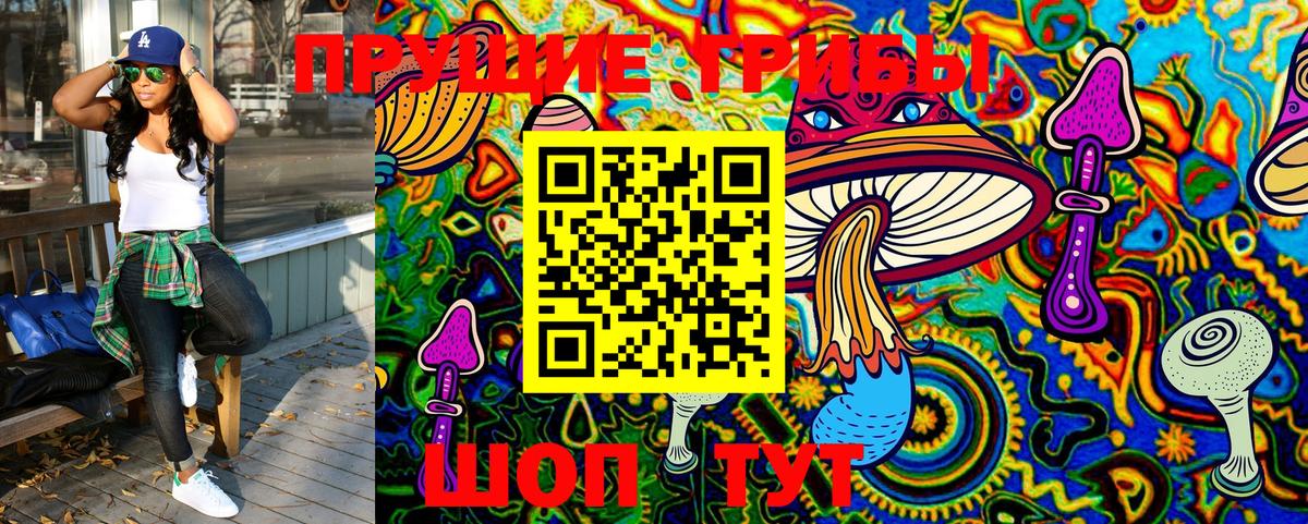 Галлюциногенные грибы MAGIC MUSHROOMS  Галлюциногенные грибы Cubensis  Гатчина  Вход с VPN 