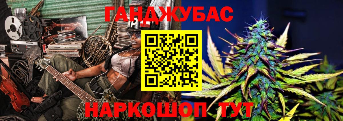 Каннабис сатива Гатчина